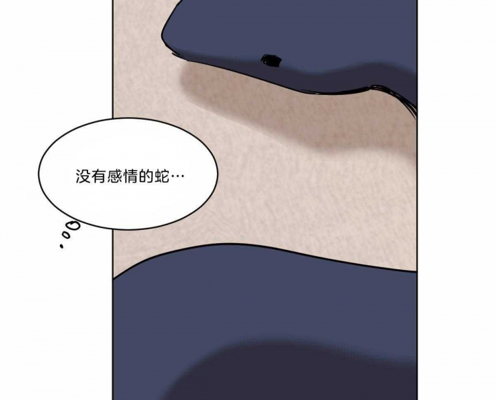 《冷血动物(I+II季)》漫画最新章节第40话免费下拉式在线观看章节第【49】张图片