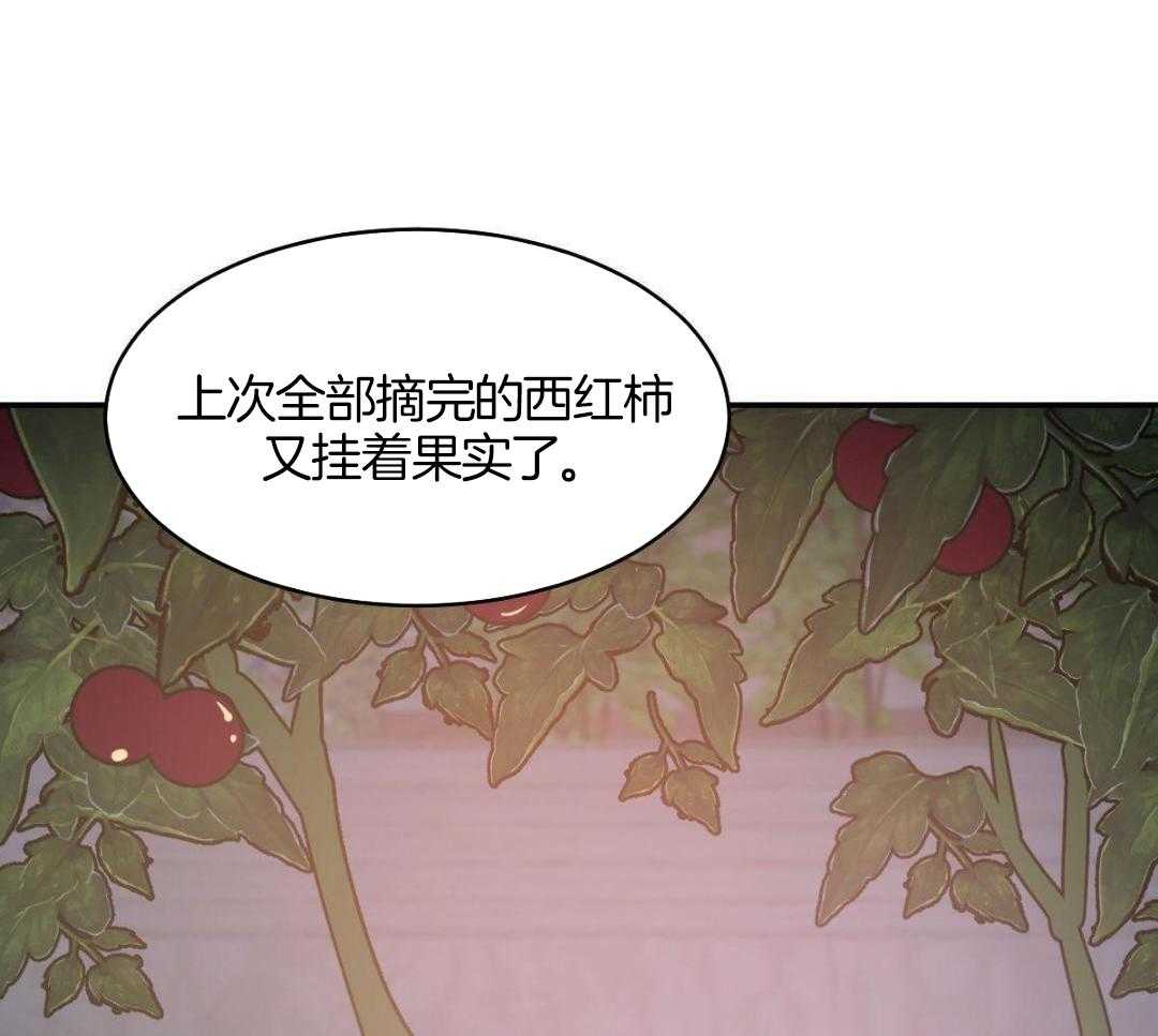 《冷血动物(I+II季)》漫画最新章节第125话免费下拉式在线观看章节第【3】张图片