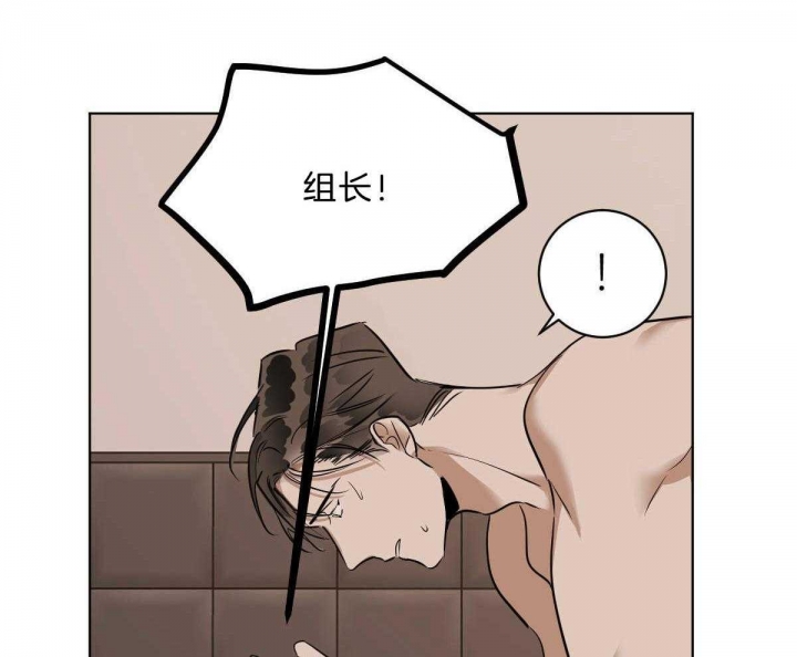 《冷血动物(I+II季)》漫画最新章节第46话免费下拉式在线观看章节第【12】张图片