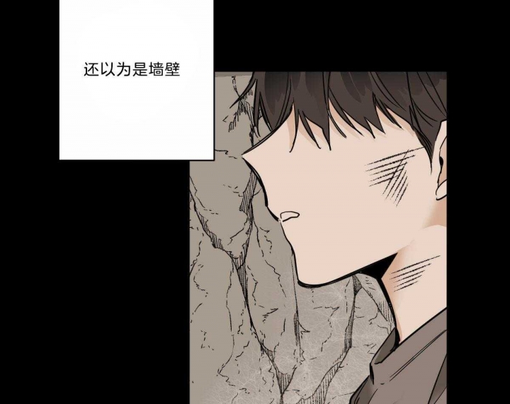 《冷血动物(I+II季)》漫画最新章节第39话免费下拉式在线观看章节第【19】张图片