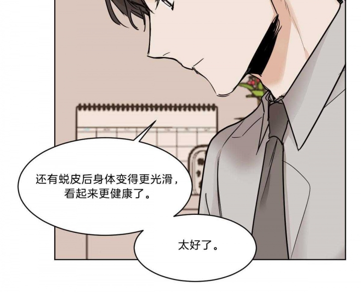 《冷血动物(I+II季)》漫画最新章节第36话免费下拉式在线观看章节第【27】张图片