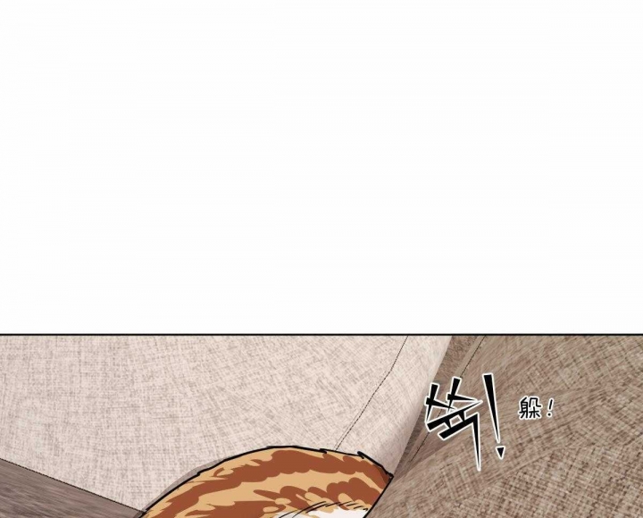 《冷血动物(I+II季)》漫画最新章节第65话免费下拉式在线观看章节第【21】张图片