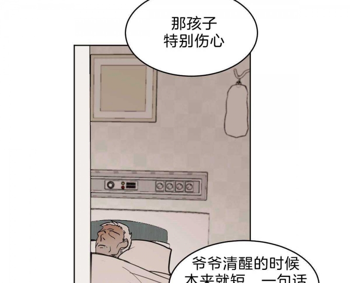 《冷血动物(I+II季)》漫画最新章节第53话免费下拉式在线观看章节第【16】张图片