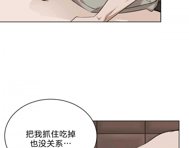 《冷血动物(I+II季)》漫画最新章节第46话免费下拉式在线观看章节第【33】张图片