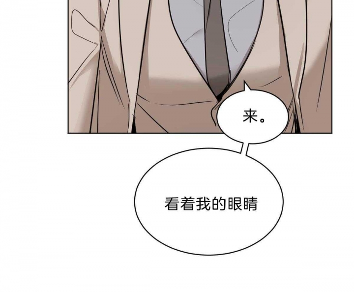 《冷血动物(I+II季)》漫画最新章节第45话免费下拉式在线观看章节第【3】张图片