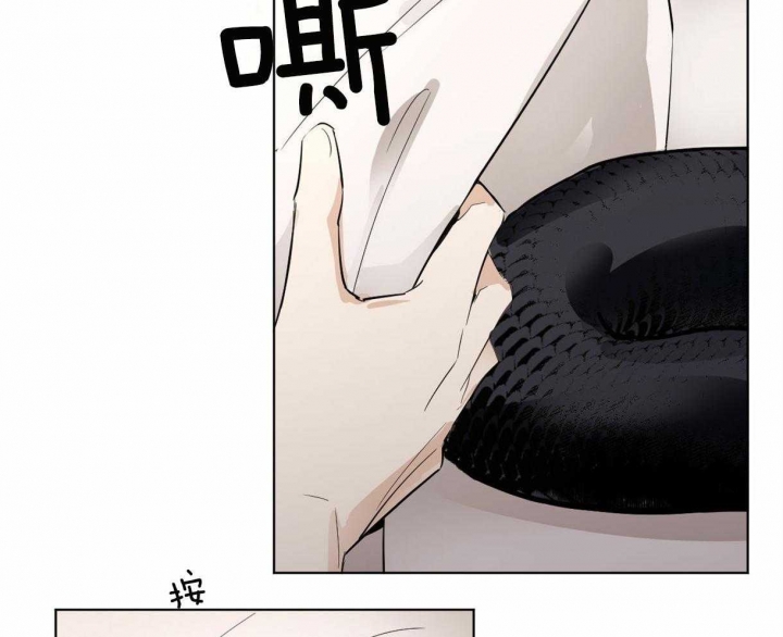 《冷血动物(I+II季)》漫画最新章节第2话免费下拉式在线观看章节第【32】张图片