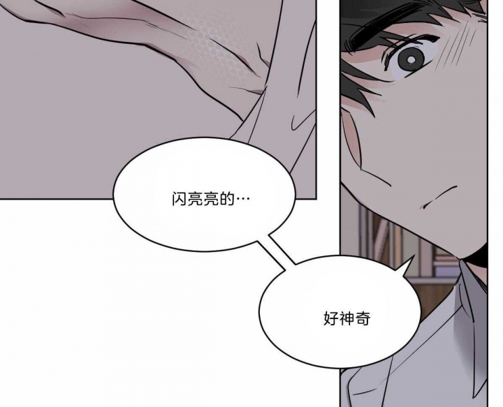 《冷血动物(I+II季)》漫画最新章节第31话免费下拉式在线观看章节第【31】张图片