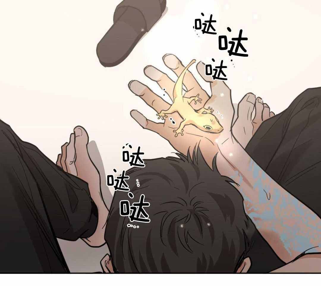 《冷血动物(I+II季)》漫画最新章节第129话免费下拉式在线观看章节第【40】张图片