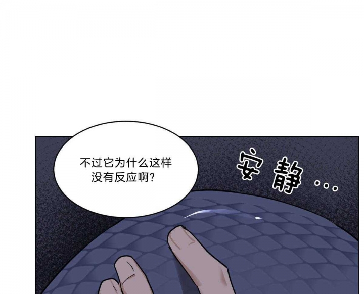 《冷血动物(I+II季)》漫画最新章节第50话免费下拉式在线观看章节第【14】张图片