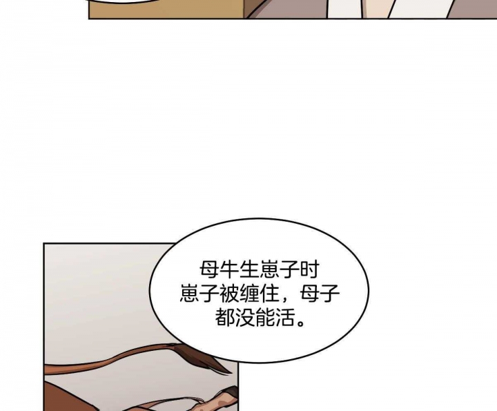 《冷血动物(I+II季)》漫画最新章节第81话免费下拉式在线观看章节第【22】张图片