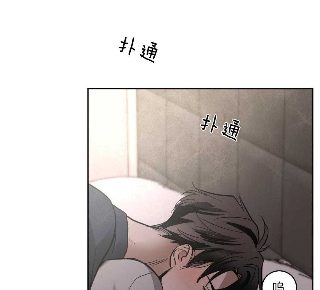 《冷血动物(I+II季)》漫画最新章节第130话免费下拉式在线观看章节第【13】张图片