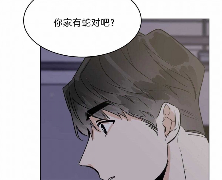 《冷血动物(I+II季)》漫画最新章节第57话免费下拉式在线观看章节第【7】张图片