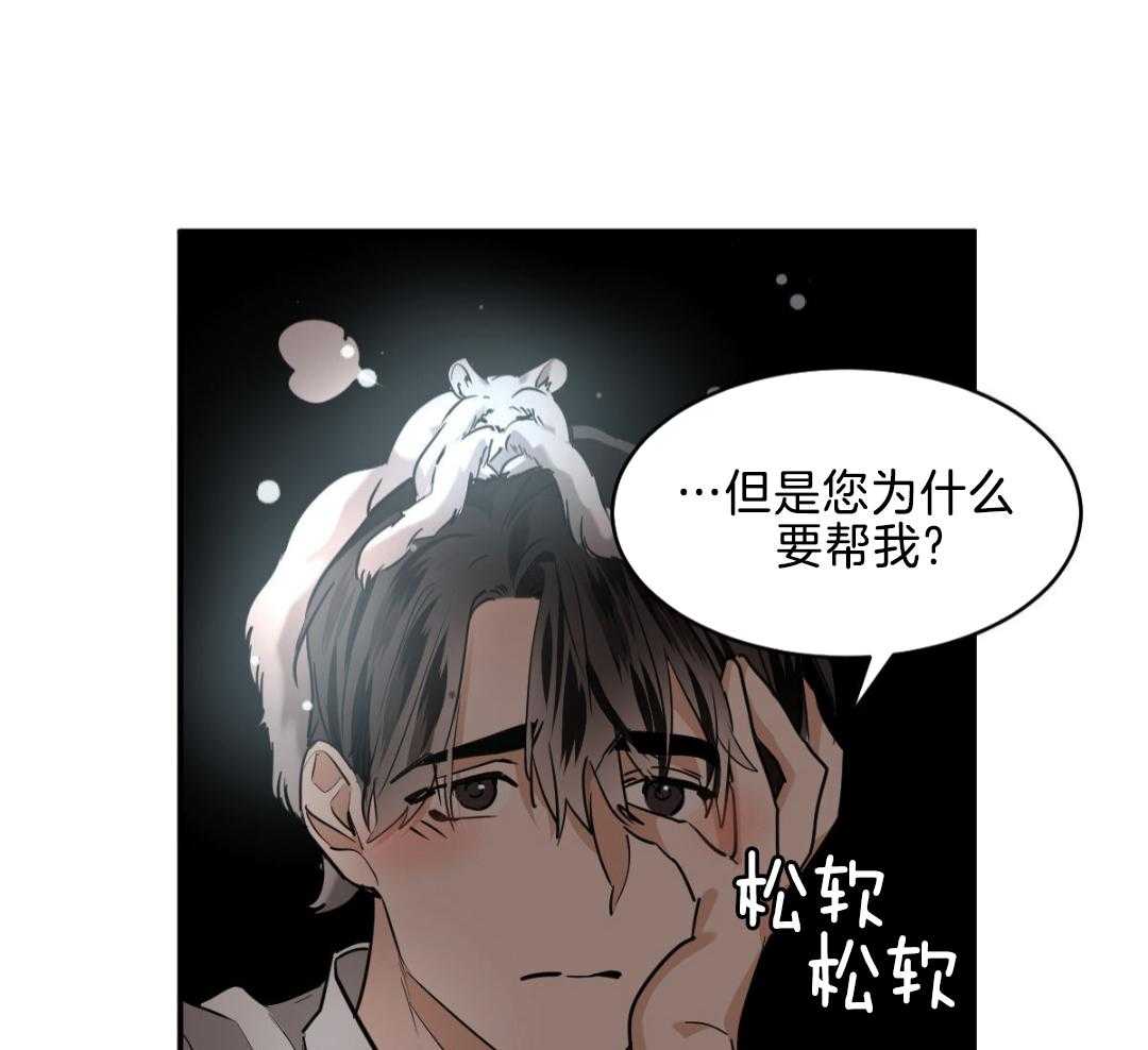 《冷血动物(I+II季)》漫画最新章节第121话免费下拉式在线观看章节第【27】张图片