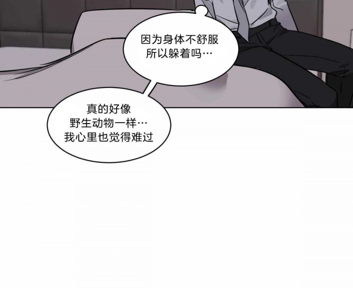 《冷血动物(I+II季)》漫画最新章节第30话免费下拉式在线观看章节第【36】张图片