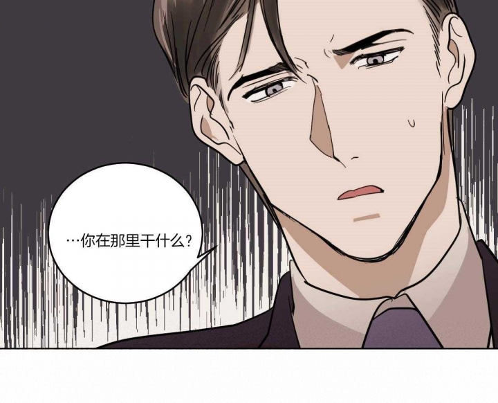 《冷血动物(I+II季)》漫画最新章节第64话免费下拉式在线观看章节第【35】张图片