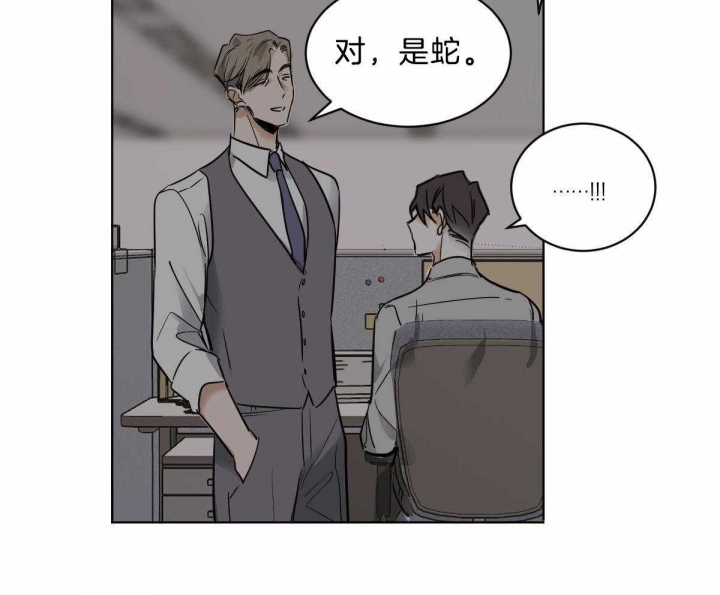 《冷血动物(I+II季)》漫画最新章节第43话免费下拉式在线观看章节第【17】张图片