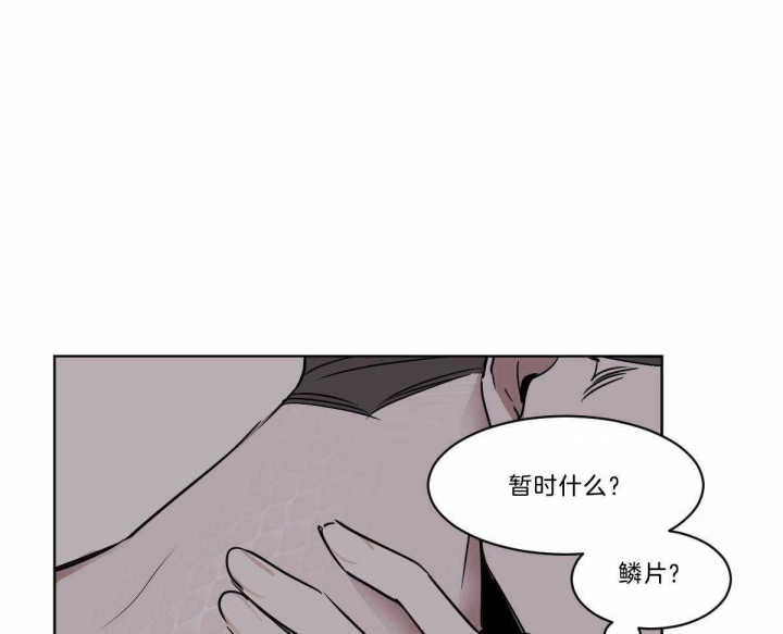 《冷血动物(I+II季)》漫画最新章节第31话免费下拉式在线观看章节第【26】张图片