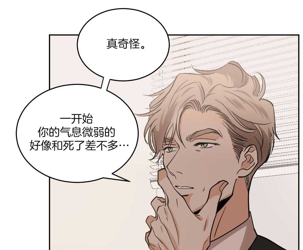 《冷血动物(I+II季)》漫画最新章节第135话免费下拉式在线观看章节第【11】张图片