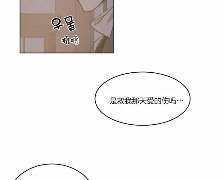 《冷血动物(I+II季)》漫画最新章节第70话免费下拉式在线观看章节第【31】张图片