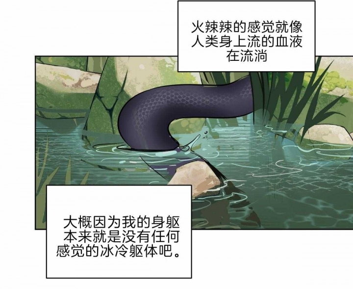 《冷血动物(I+II季)》漫画最新章节第60话免费下拉式在线观看章节第【49】张图片