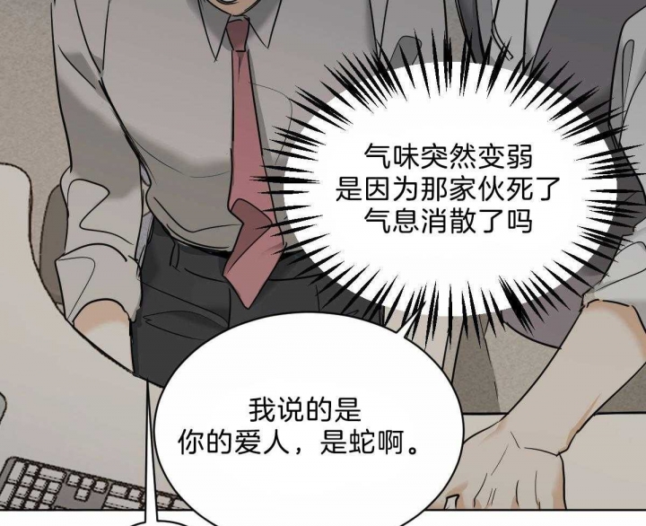 《冷血动物(I+II季)》漫画最新章节第43话免费下拉式在线观看章节第【10】张图片