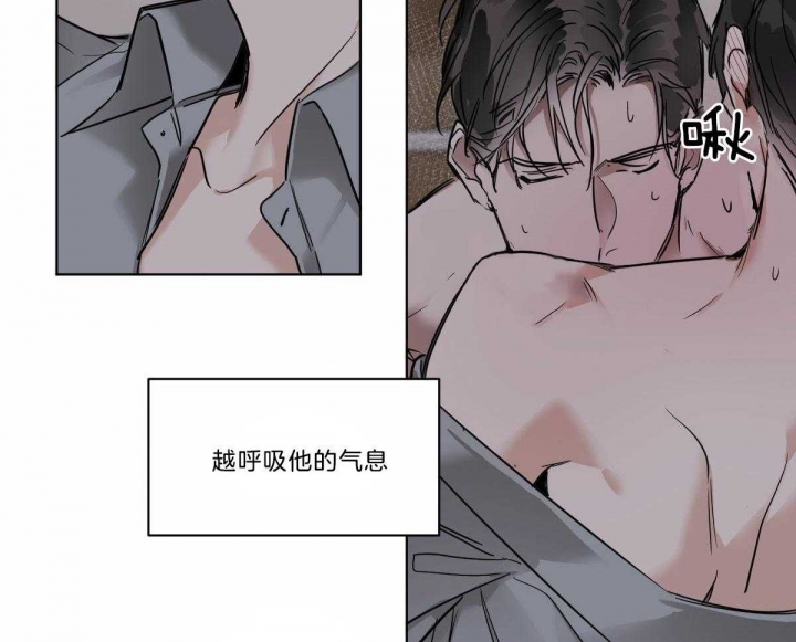 《冷血动物(I+II季)》漫画最新章节第47话免费下拉式在线观看章节第【5】张图片