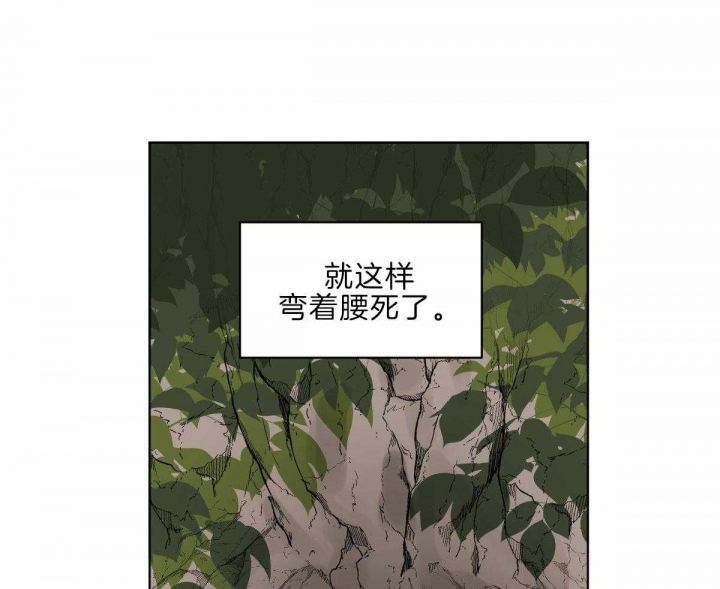 《冷血动物(I+II季)》漫画最新章节第60话免费下拉式在线观看章节第【43】张图片