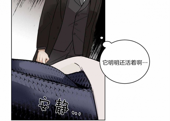 《冷血动物(I+II季)》漫画最新章节第3话免费下拉式在线观看章节第【4】张图片