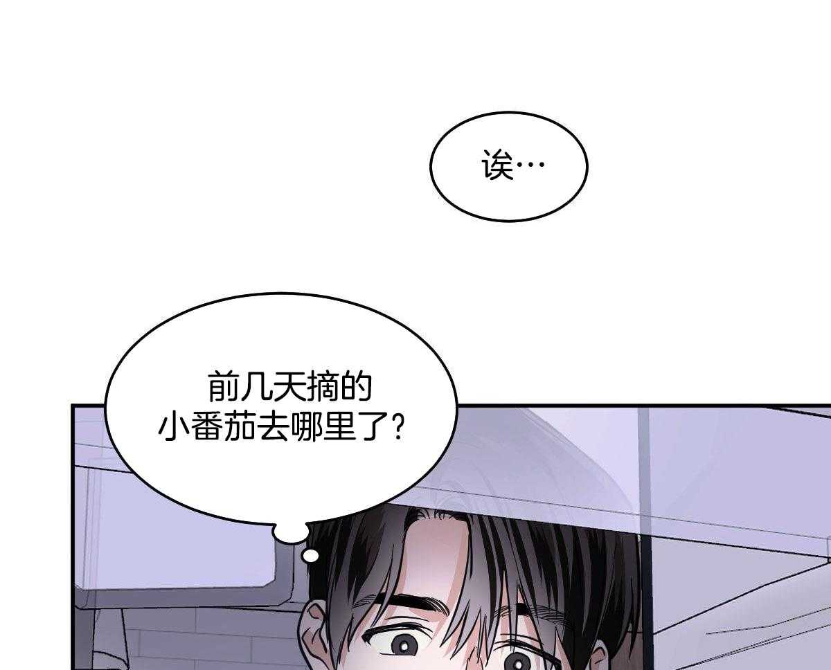 《冷血动物(I+II季)》漫画最新章节第124话免费下拉式在线观看章节第【11】张图片