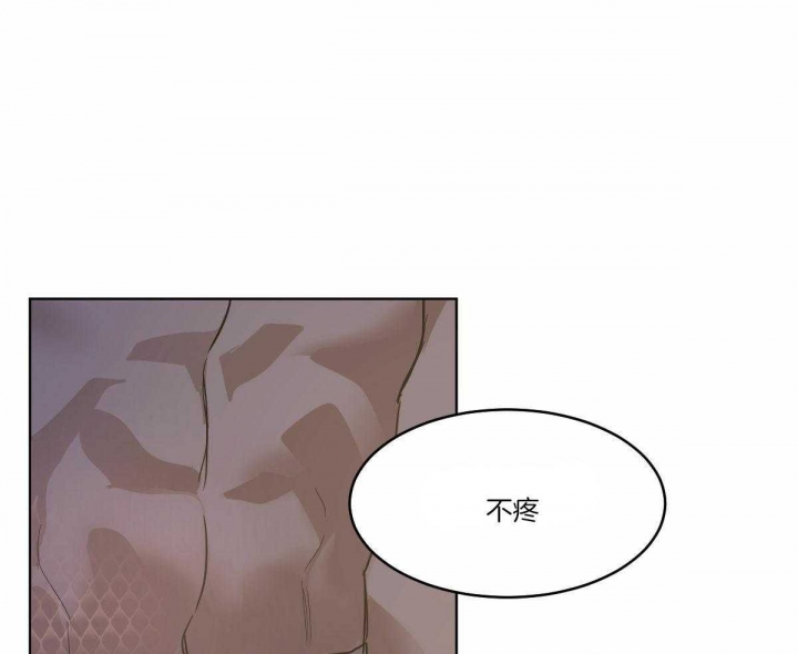 《冷血动物(I+II季)》漫画最新章节第70话免费下拉式在线观看章节第【47】张图片