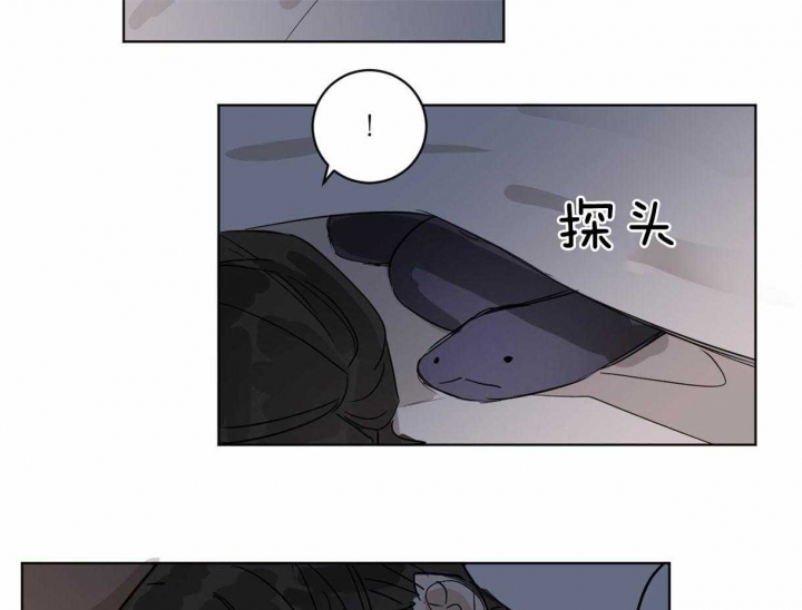 《冷血动物(I+II季)》漫画最新章节第17话免费下拉式在线观看章节第【31】张图片