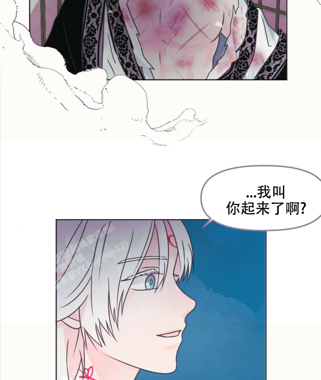 《兔兔的小龙宝》漫画最新章节第13话免费下拉式在线观看章节第【2】张图片