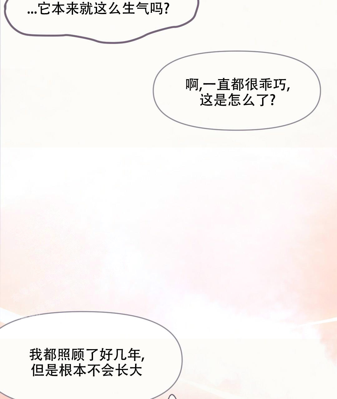 《兔兔的小龙宝》漫画最新章节第4话免费下拉式在线观看章节第【29】张图片