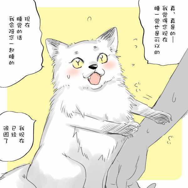 《美女与猎人》漫画最新章节第21话免费下拉式在线观看章节第【11】张图片