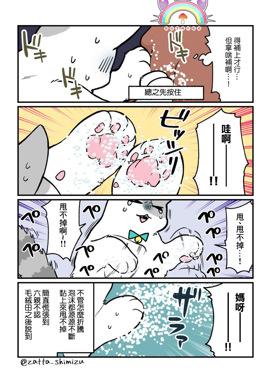 《黑心企业的职员变成猫之后人生有了转变的故事》漫画最新章节变成猫之后 番外10免费下拉式在线观看章节第【2】张图片