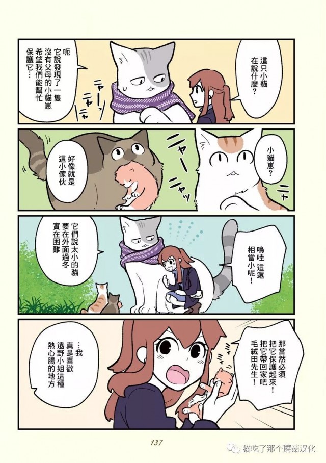 《黑心企业的职员变成猫之后人生有了转变的故事》漫画最新章节第11话免费下拉式在线观看章节第【16】张图片