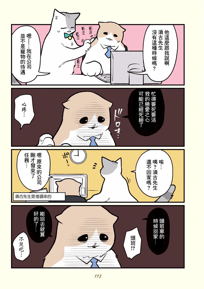 《黑心企业的职员变成猫之后人生有了转变的故事》漫画最新章节第10话免费下拉式在线观看章节第【15】张图片