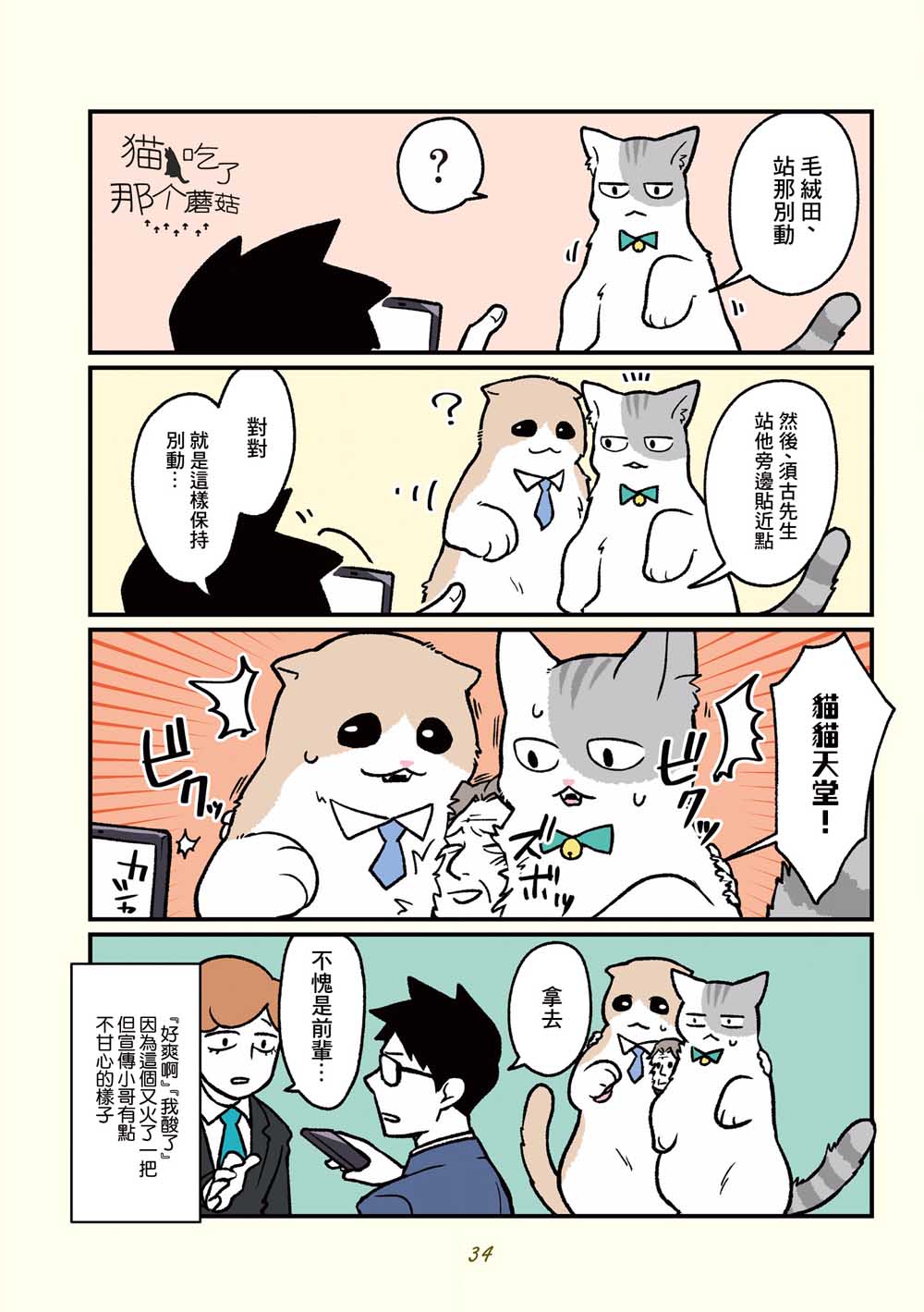 《黑心企业的职员变成猫之后人生有了转变的故事》漫画最新章节第13话免费下拉式在线观看章节第【16】张图片