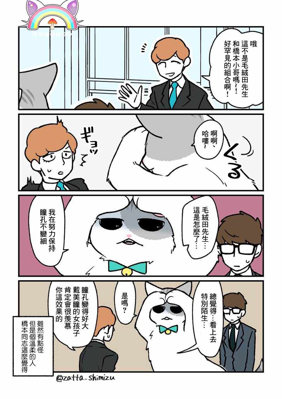 《黑心企业的职员变成猫之后人生有了转变的故事》漫画最新章节变成猫之后 番外13免费下拉式在线观看章节第【3】张图片