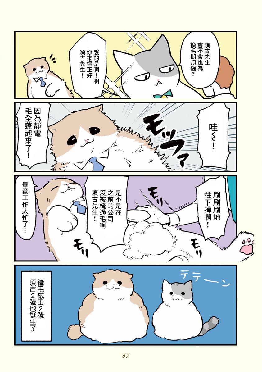 《黑心企业的职员变成猫之后人生有了转变的故事》漫画最新章节第7话免费下拉式在线观看章节第【3】张图片