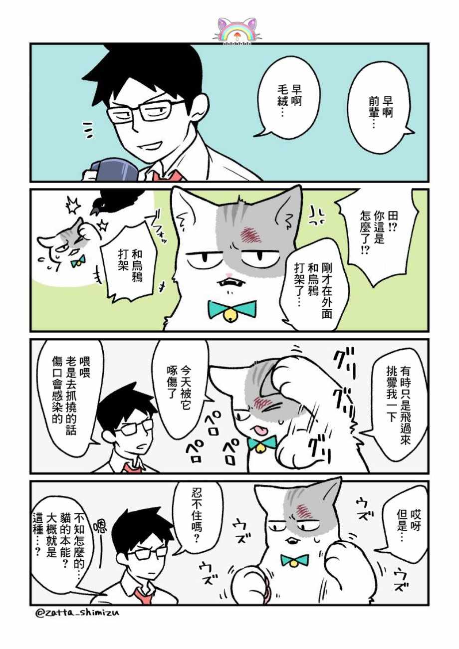 《黑心企业的职员变成猫之后人生有了转变的故事》漫画最新章节变成猫之后 番外15免费下拉式在线观看章节第【5】张图片