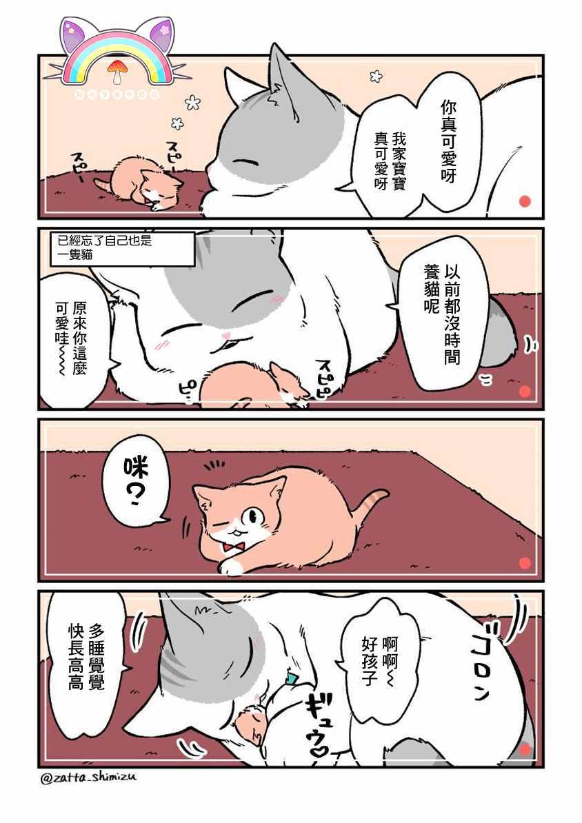 《黑心企业的职员变成猫之后人生有了转变的故事》漫画最新章节变成猫之后 番外04免费下拉式在线观看章节第【1】张图片