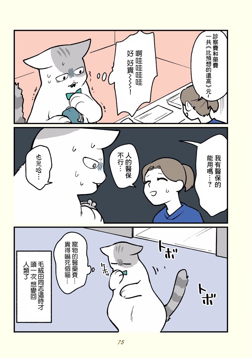 《黑心企业的职员变成猫之后人生有了转变的故事》漫画最新章节第7话免费下拉式在线观看章节第【11】张图片