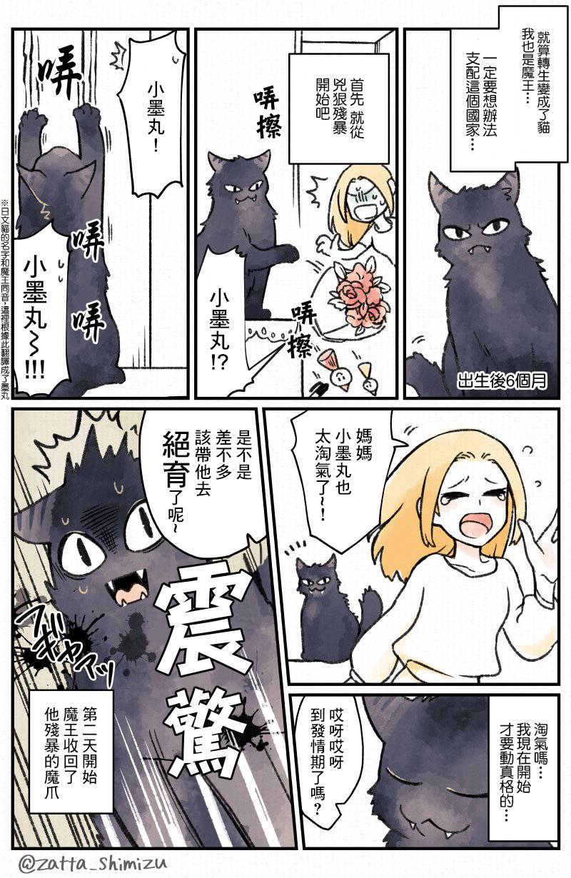 《黑心企业的职员变成猫之后人生有了转变的故事》漫画最新章节作者自创 恶魔转生为猫免费下拉式在线观看章节第【2】张图片