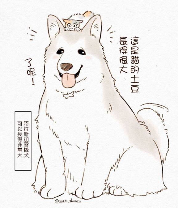 《黑心企业的职员变成猫之后人生有了转变的故事》漫画最新章节作者自创 猫与狗免费下拉式在线观看章节第【2】张图片