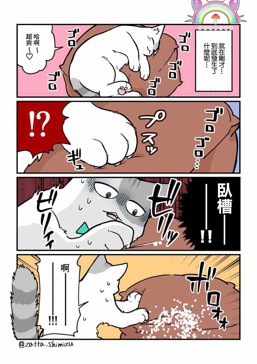 《黑心企业的职员变成猫之后人生有了转变的故事》漫画最新章节变成猫之后 番外09免费下拉式在线观看章节第【1】张图片