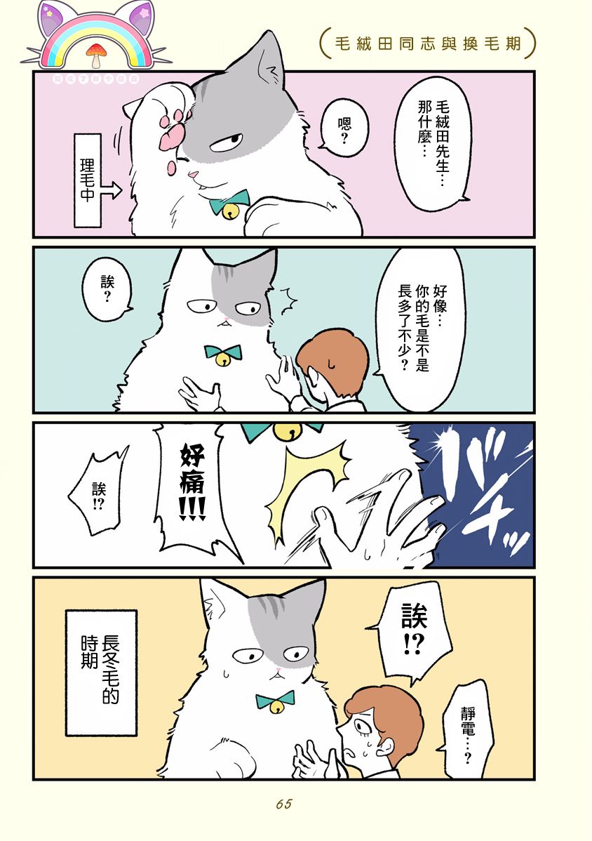 《黑心企业的职员变成猫之后人生有了转变的故事》漫画最新章节第7话免费下拉式在线观看章节第【1】张图片