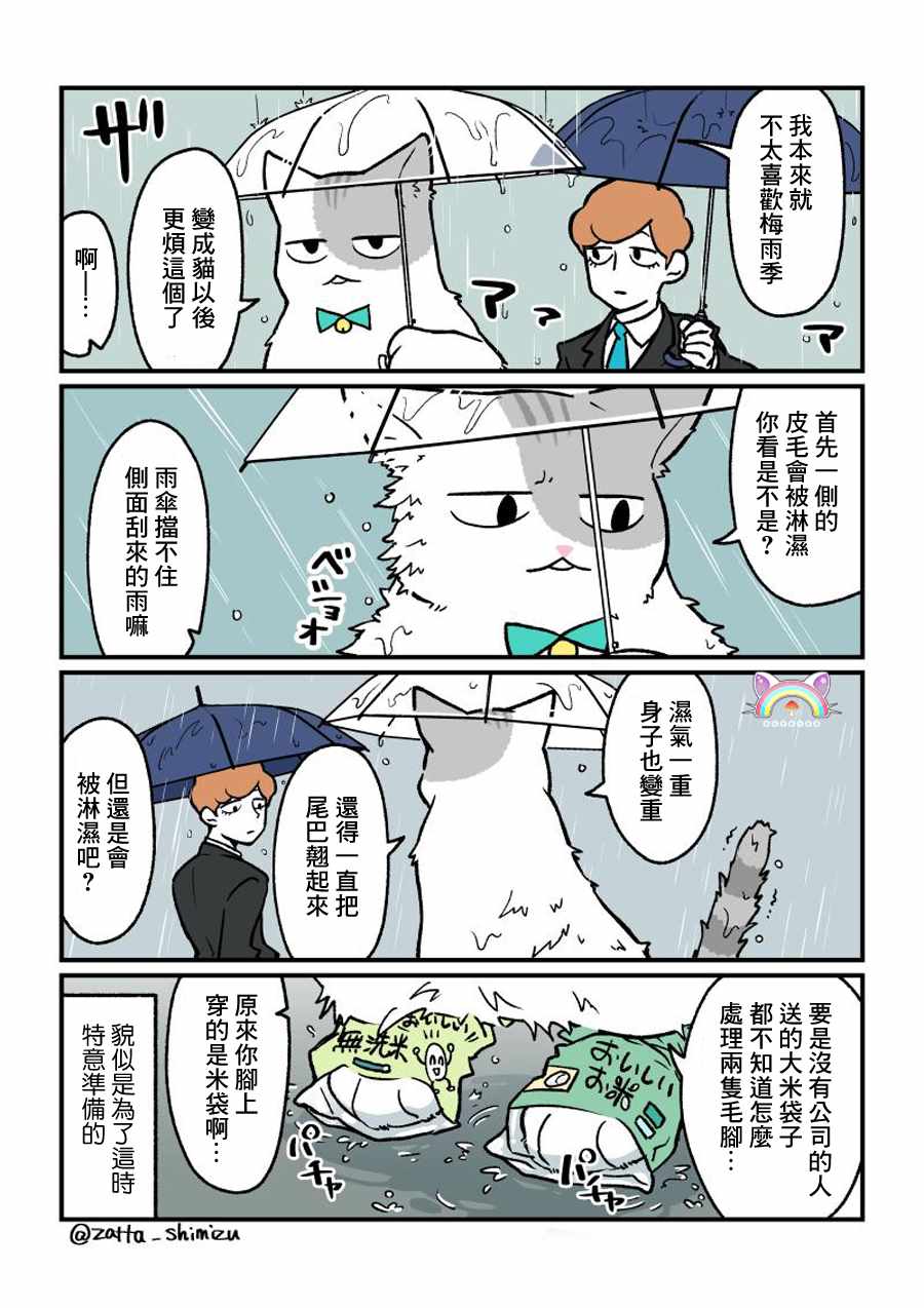 《黑心企业的职员变成猫之后人生有了转变的故事》漫画最新章节变成猫之后 番外08免费下拉式在线观看章节第【1】张图片