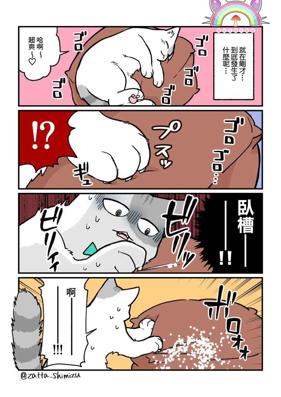 《黑心企业的职员变成猫之后人生有了转变的故事》漫画最新章节变成猫之后 番外10免费下拉式在线观看章节第【1】张图片