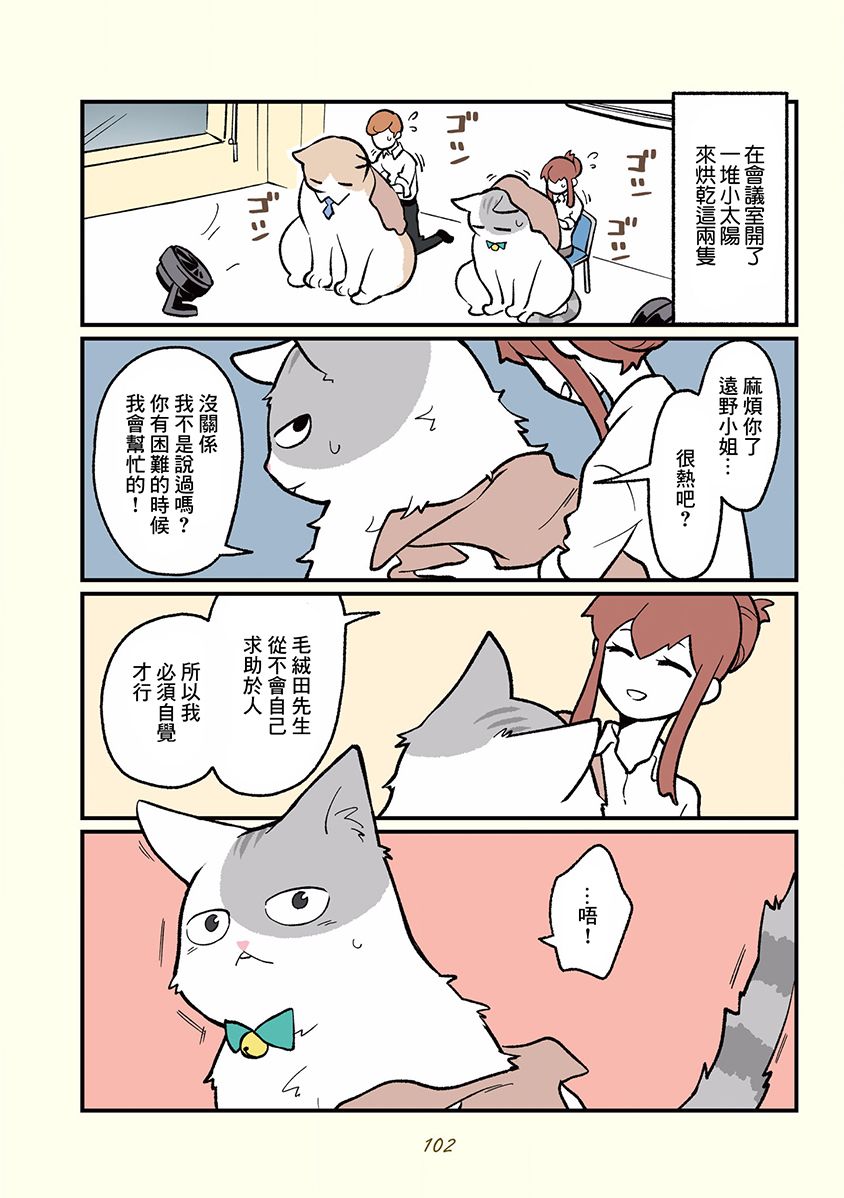 《黑心企业的职员变成猫之后人生有了转变的故事》漫画最新章节第10话免费下拉式在线观看章节第【4】张图片